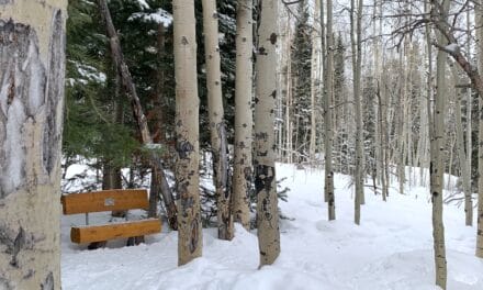 Leaving the Narrows; Living with expansiveness and new freedoms follows