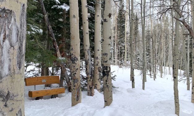 Leaving the Narrows; Living with expansiveness and new freedoms follows