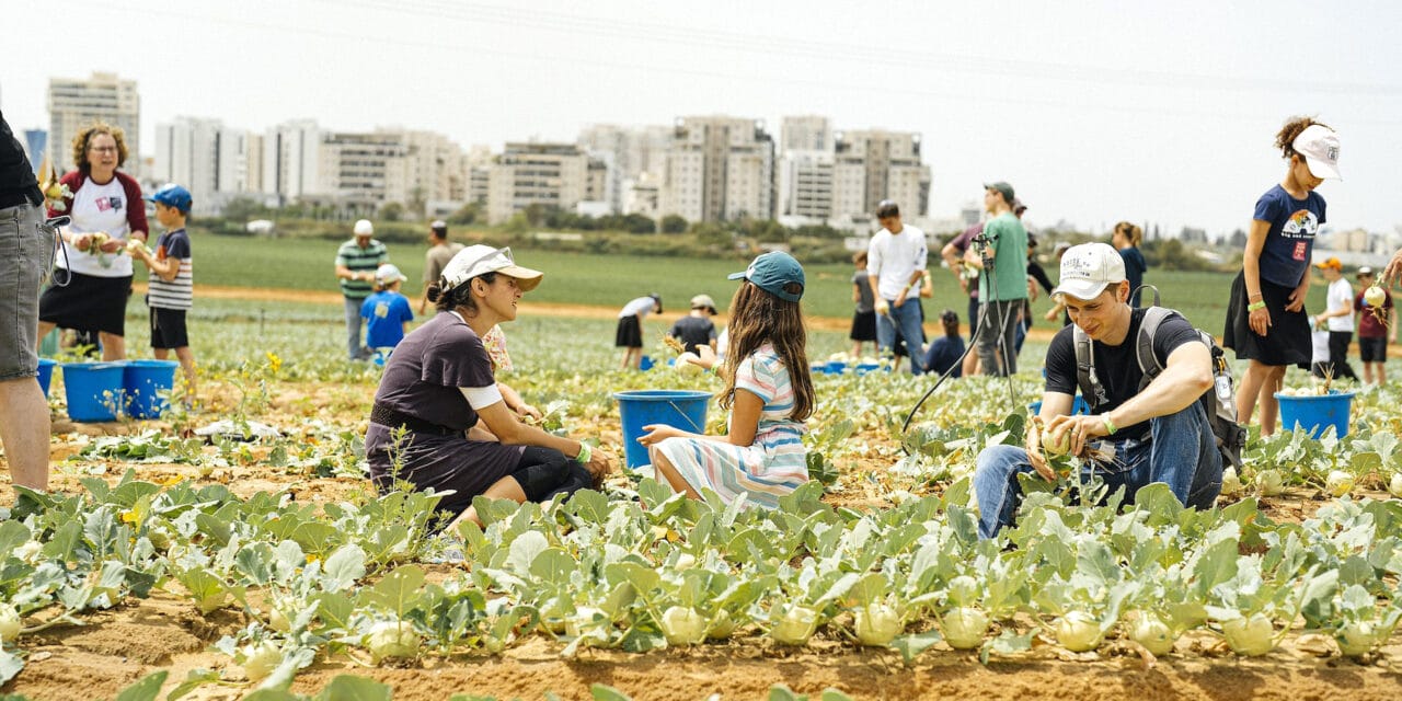 Voluntourism: When giving becomes part of the traveling