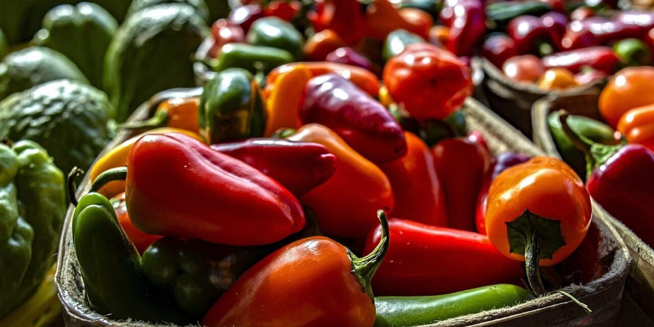 Farmers market boots vender who offered ‘Gas the Jews’ discount code
