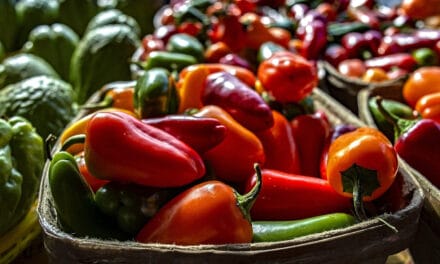 Farmers market boots vender who offered ‘Gas the Jews’ discount code
