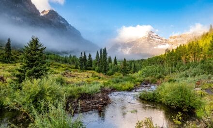Coming to terms with my blue funk; Healing in Colorado
