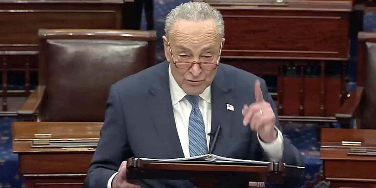 Schumer hits out at left-wing anti-Semitism in Senate speech