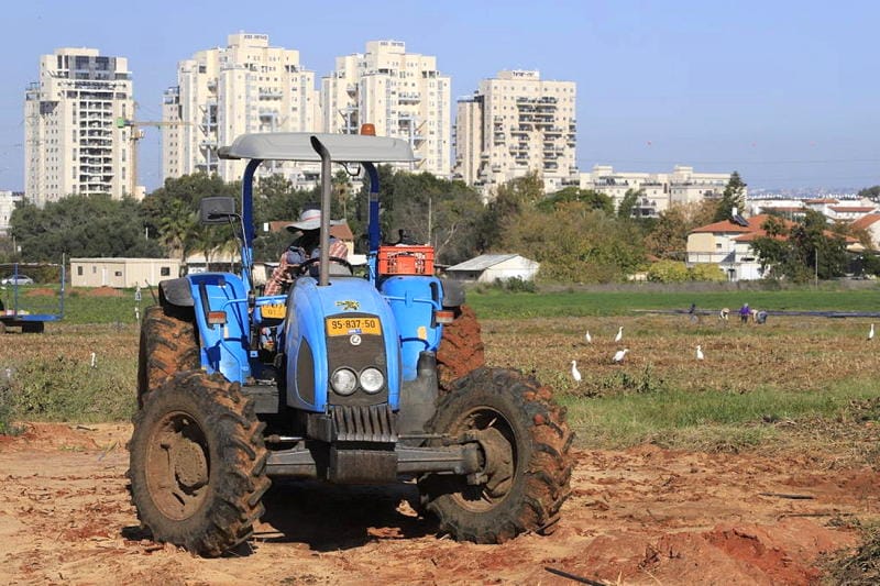 12,000 foreign workers have returned to Israel