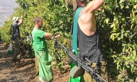 Could Israel face famine? The country needs to be much more food self-sufficient, expert warns