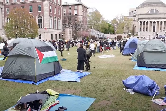 The derangement of the university protests